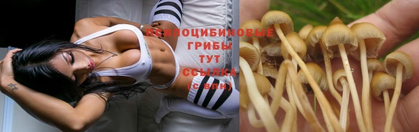 эйфоретик Алексеевка
