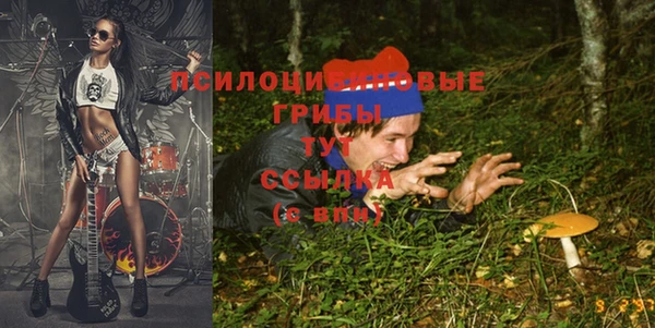 эйфоретик Алексеевка